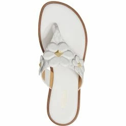 New ๐ MICHAEL Michael Kors Nellie ๐ฉ Womens Leather Embellished Thong ๐ฉด Sandals ๐ 7 New ๐ MICHAEL Michael Kors Nellie ๐ฉ Womens Leather Embellished Thong ๐ฉด Sandals ๐ -Jones New York Shop 2da01d6a6a134499a7ac46c734732fa4 27019e61 7b38 4979 b3b5 7a9c6d469b76 1080x